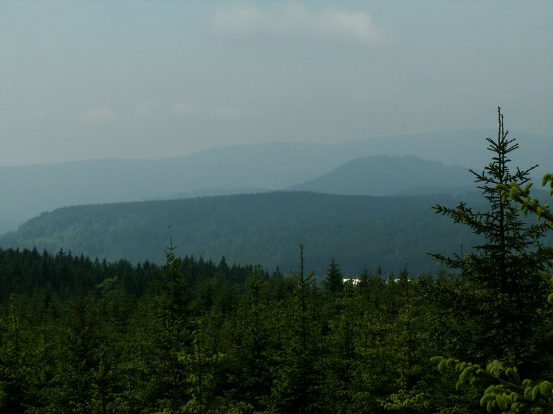 100609_PICT0038.JPG