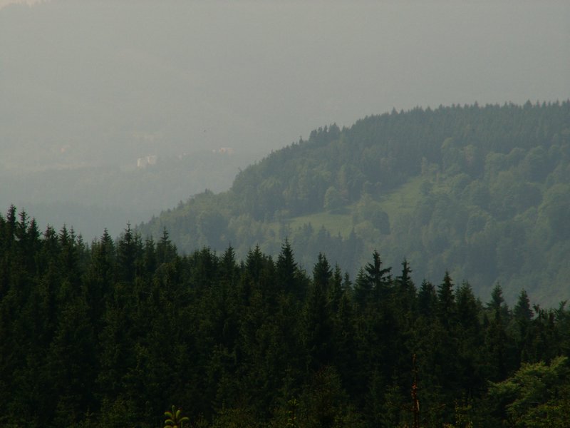 100609_PICT0039.JPG