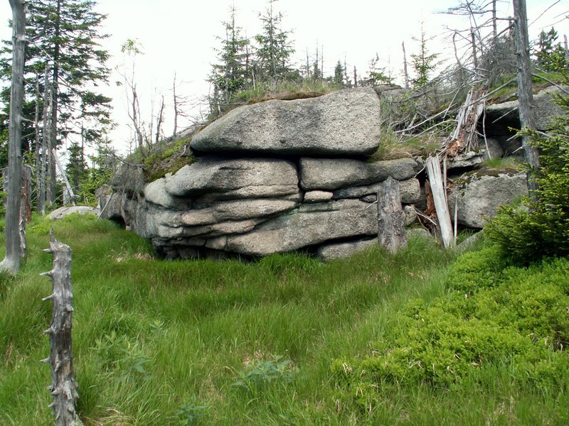 100609_PICT0041.JPG