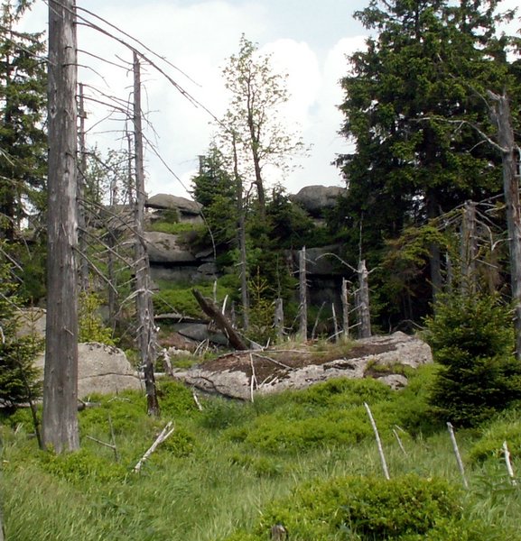 100609_PICT0042b.JPG