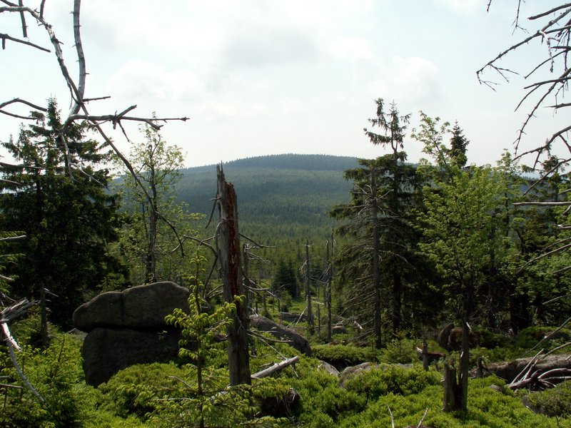 100609_PICT0043.JPG