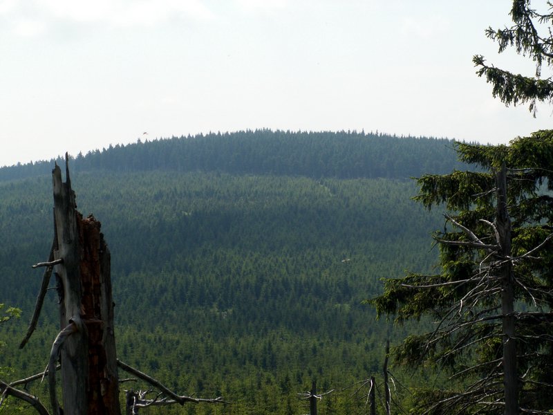 100609_PICT0044.JPG