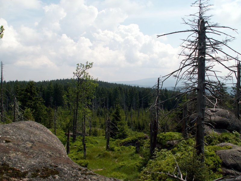 100609_PICT0045.JPG