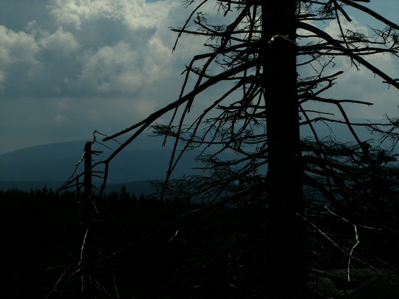 100609_PICT0046.JPG