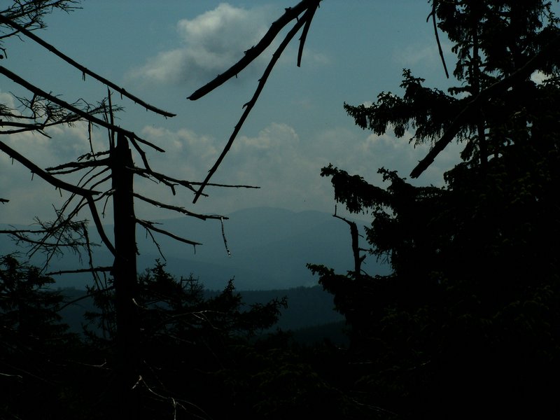 100609_PICT0047.JPG
