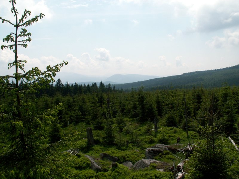 100609_PICT0048.JPG
