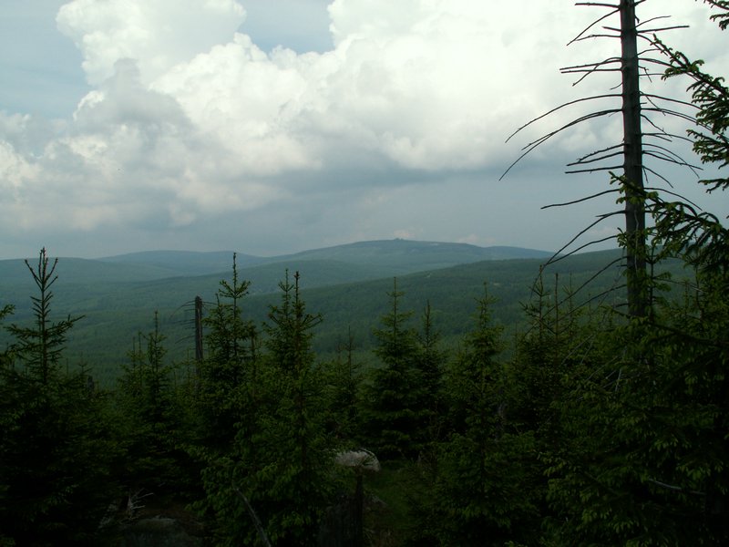 100609_PICT0050.JPG