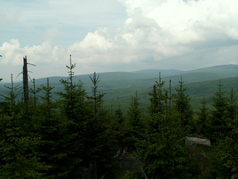 100609_PICT0051.JPG