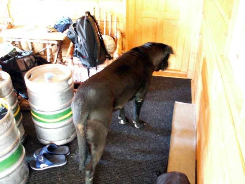 100609_PICT0056.JPG