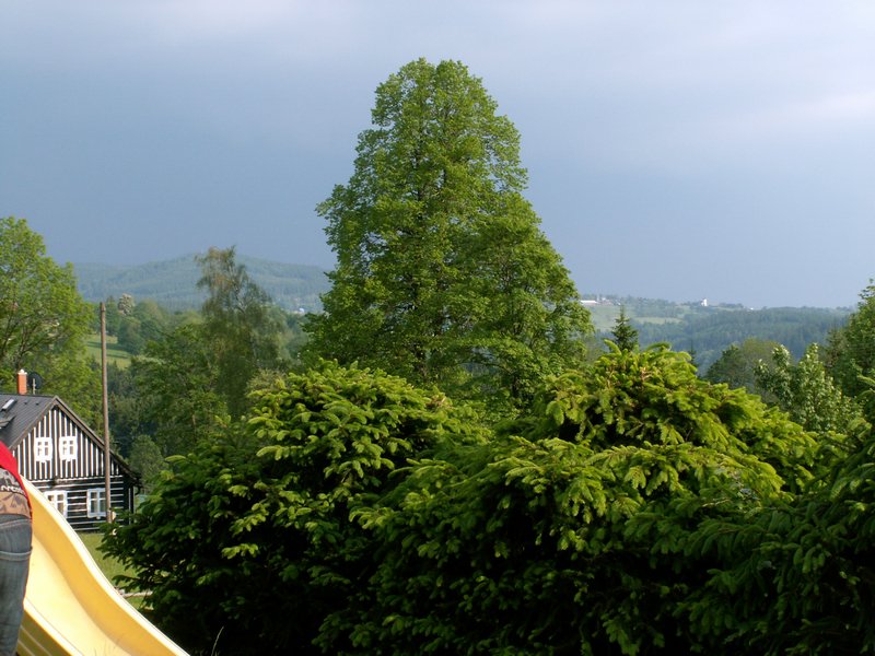 100609_PICT0072.JPG