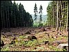 100609_PICT0004.JPG