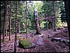 100609_PICT0005.JPG