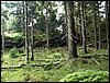 100609_PICT0007.JPG
