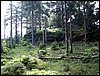 100609_PICT0008.JPG