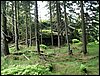 100609_PICT0009.JPG