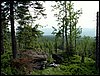 100609_PICT0010.JPG