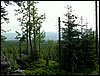 100609_PICT0011.JPG