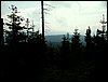 100609_PICT0012.JPG