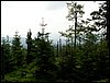 100609_PICT0013.JPG