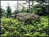 100609_PICT0014.JPG