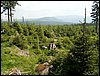 100609_PICT0017.JPG
