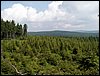 100609_PICT0019.JPG