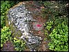 100609_PICT0024.JPG
