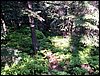 100609_PICT0025.JPG