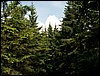 100609_PICT0026.JPG