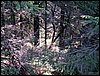 100609_PICT0027.JPG
