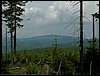 100609_PICT0029.JPG