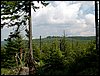 100609_PICT0030.JPG