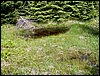 100609_PICT0031.JPG