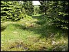 100609_PICT0032.JPG
