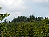 100609_PICT0033.JPG