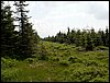 100609_PICT0035.JPG