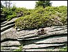 100609_PICT0036.JPG
