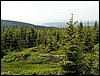 100609_PICT0037.JPG