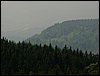 100609_PICT0039.JPG