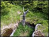 100609_PICT0040.JPG