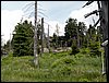 100609_PICT0042.JPG