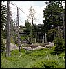 100609_PICT0042b.JPG