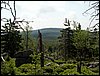 100609_PICT0043.JPG