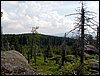 100609_PICT0045.JPG