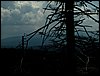 100609_PICT0046.JPG