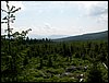 100609_PICT0048.JPG