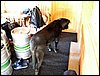 100609_PICT0056.JPG