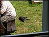 100609_PICT0064.JPG