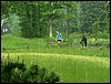 100609_PICT0091.JPG