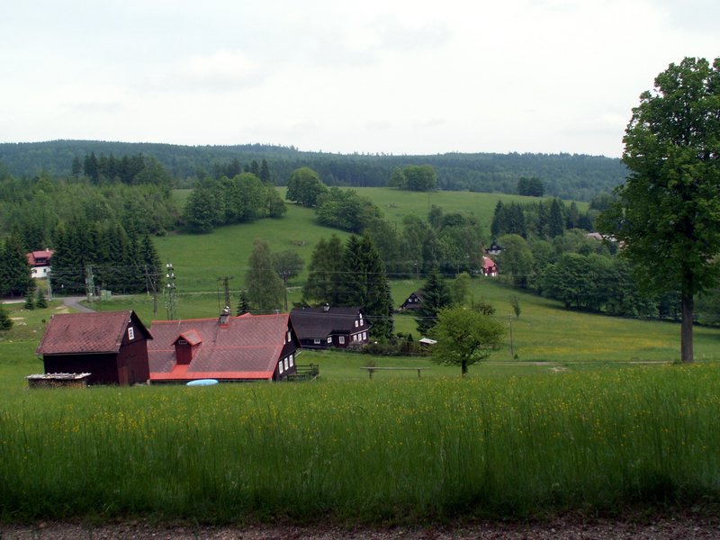 100610_PICT0004.JPG